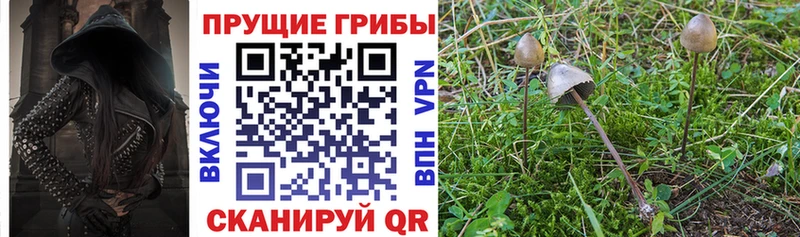 Псилоцибиновые грибы MAGIC MUSHROOMS  Купить где  Волоколамск 